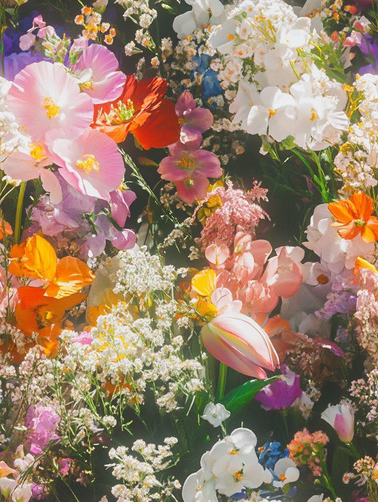 Corporate floral consultation example